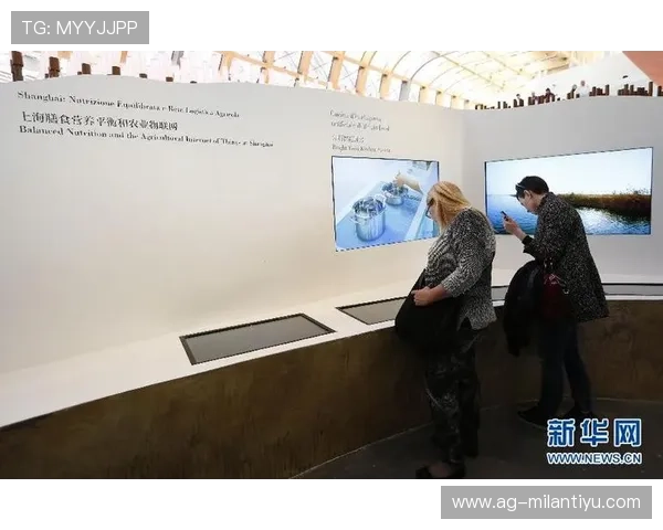 米兰中国馆:探索中国历史遗迹与文化遗产的精彩展览 米兰中国馆:探索中国历史遗迹与文化遗产的精彩展览