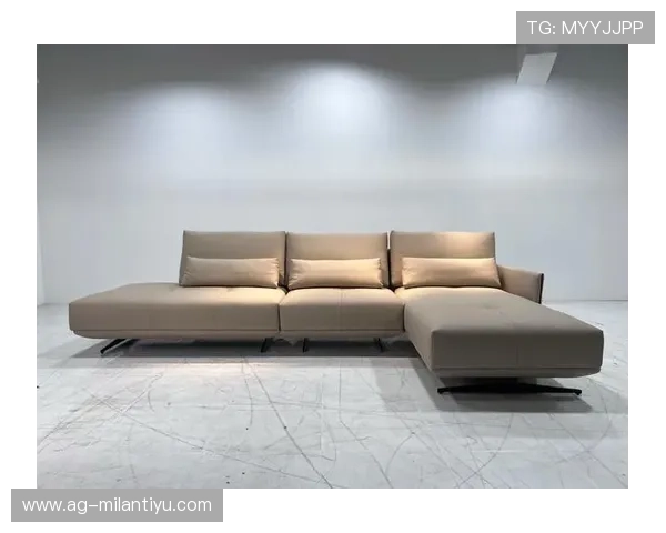 米兰国际沙发的设计理念与时尚元素完美结合
